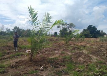 Bupati Simalungun Perintahkan Kepala Dinas Lingkungan Hidup Panggil Pimpinan Kebun Bah Butong