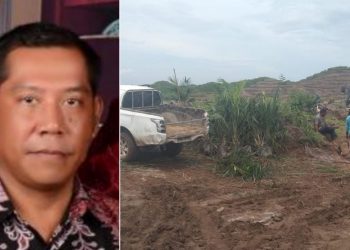 Ternyata, Karyawan Tetap Kebun Marihat Disuruh Asisten Afdeling Ikut Menanam Pohon Sawit Baru